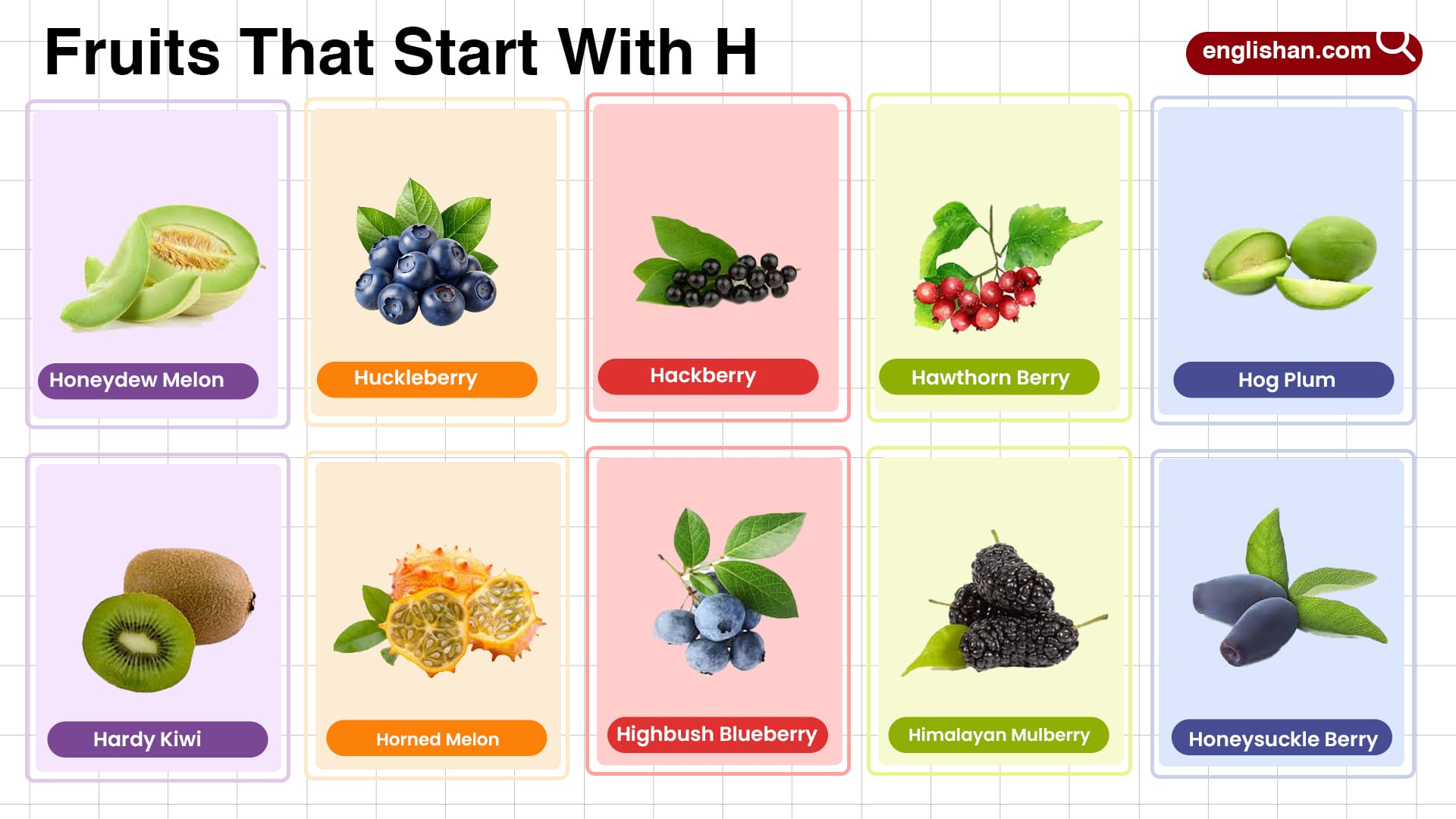 fruits that start with h - Article 3